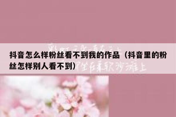抖音怎么样粉丝看不到我的作品(抖音里的粉丝怎样别人看不到) 第1张 抖音怎么样粉丝看不到我的作品(抖音里的粉丝怎样别人看不到) 第1张