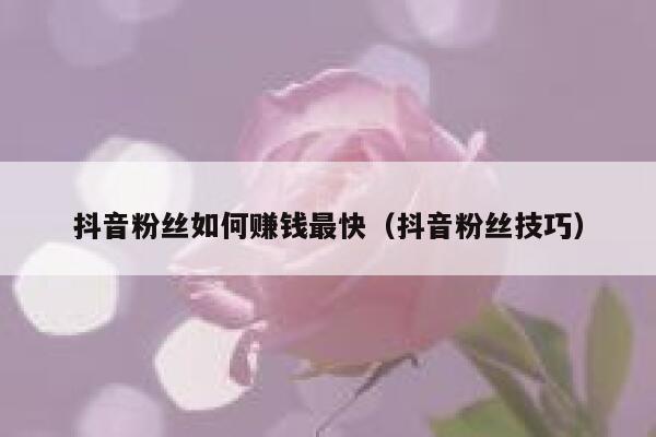 抖音粉丝如何赚钱最快（抖音粉丝技巧） 第1张