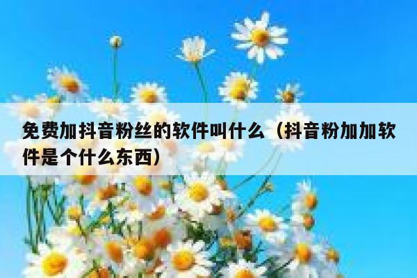 免费加抖音粉丝的软件叫什么（抖音粉加加软件是个什么东西） 第1张