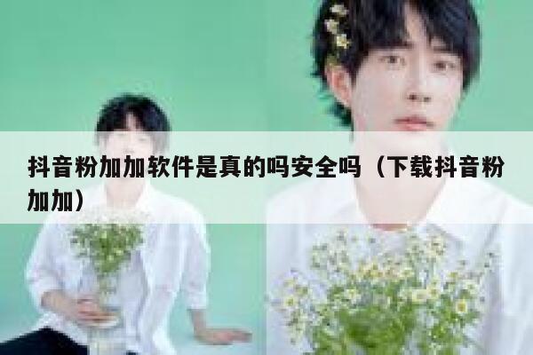抖音粉加加软件是真的吗安全吗(下载抖音粉加加) 第1张 抖音粉加加软件是真的吗安全吗(下载抖音粉加加) 第1张