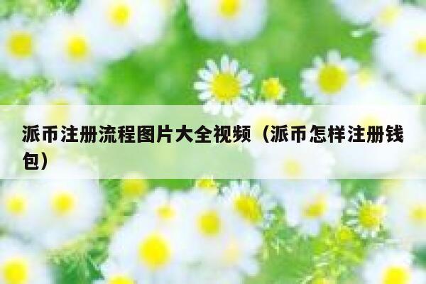 派币注册流程图片大全视频（派币怎样注册钱包） 第1张