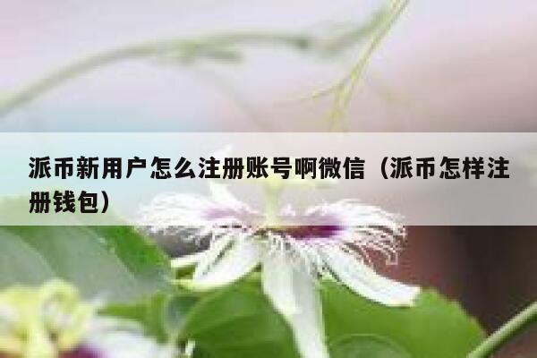 派币新用户怎么注册账号啊微信（派币怎样注册钱包） 第1张