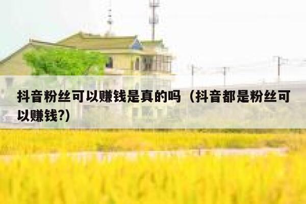 抖音粉丝可以赚钱是真的吗(抖音都是粉丝可以赚钱?) 第1张 抖音粉丝可以赚钱是真的吗(抖音都是粉丝可以赚钱?) 第1张
