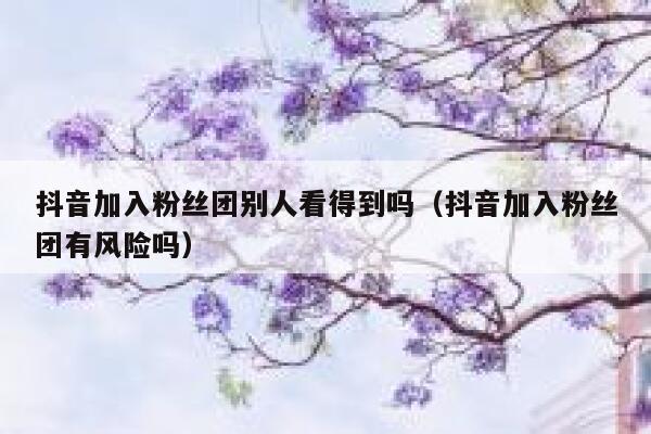 抖音加入粉丝团别人看得到吗(抖音加入粉丝团有风险吗) 第1张 抖音加入粉丝团别人看得到吗(抖音加入粉丝团有风险吗) 第1张