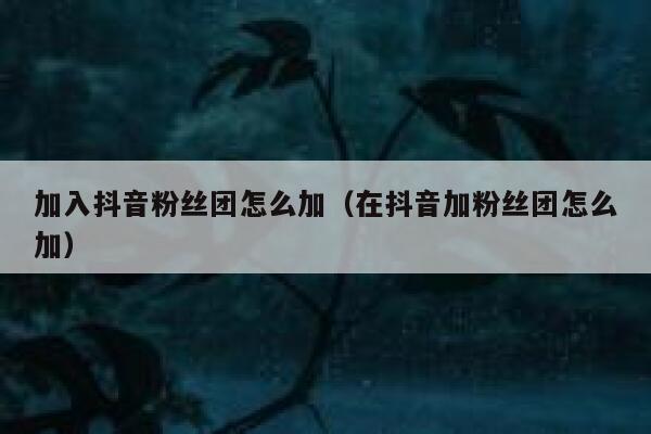 加入抖音粉丝团怎么加(在抖音加粉丝团怎么加) 第1张 加入抖音粉丝团怎么加(在抖音加粉丝团怎么加) 第1张