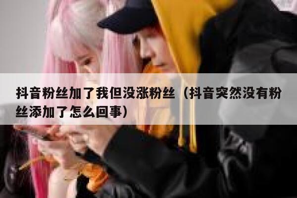 抖音粉丝加了我但没涨粉丝(抖音突然没有粉丝添加了怎么回事) 第1张 抖音粉丝加了我但没涨粉丝(抖音突然没有粉丝添加了怎么回事) 第1张