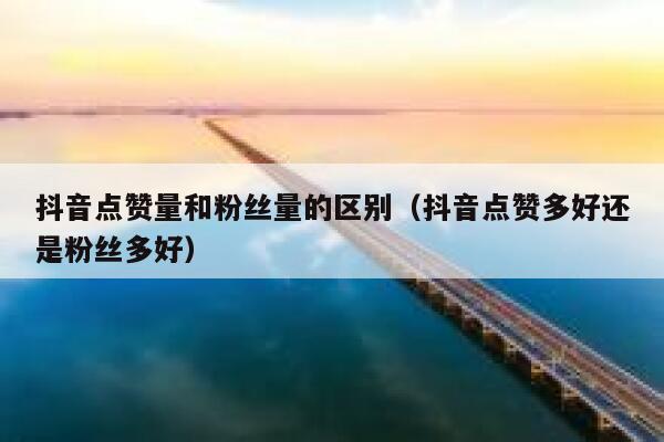 抖音点赞量和粉丝量的区别(抖音点赞多好还是粉丝多好) 第1张 抖音点赞量和粉丝量的区别(抖音点赞多好还是粉丝多好) 第1张