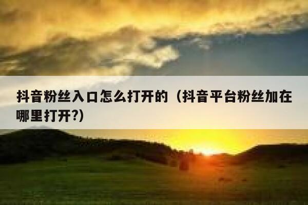 抖音粉丝入口怎么打开的(抖音平台粉丝加在哪里打开?) 第1张 抖音粉丝入口怎么打开的(抖音平台粉丝加在哪里打开?) 第1张