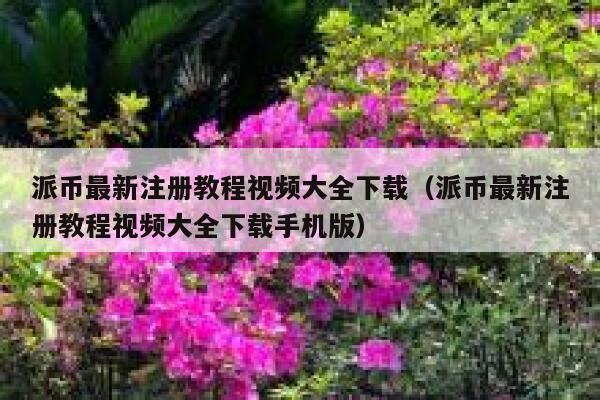 派币最新注册教程视频大全下载（派币最新注册教程视频大全下载手机版） 第1张