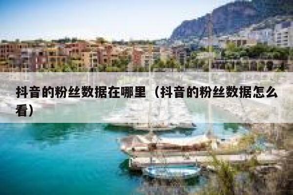 抖音的粉丝数据在哪里(抖音的粉丝数据怎么看) 第1张 抖音的粉丝数据在哪里(抖音的粉丝数据怎么看) 第1张