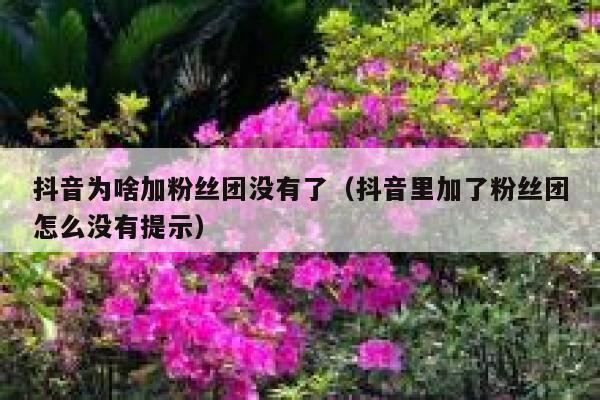 抖音为啥加粉丝团没有了（抖音里加了粉丝团怎么没有提示） 第1张