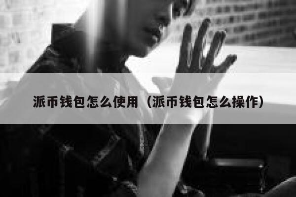 派币钱包怎么使用(派币钱包怎么操作) 第1张 派币钱包怎么使用(派币钱包怎么操作) 第1张