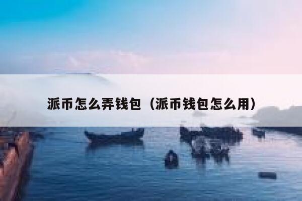 派币怎么弄钱包（派币钱包怎么用） 第1张
