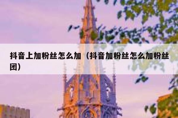 抖音上加粉丝怎么加（抖音加粉丝怎么加粉丝团） 第1张