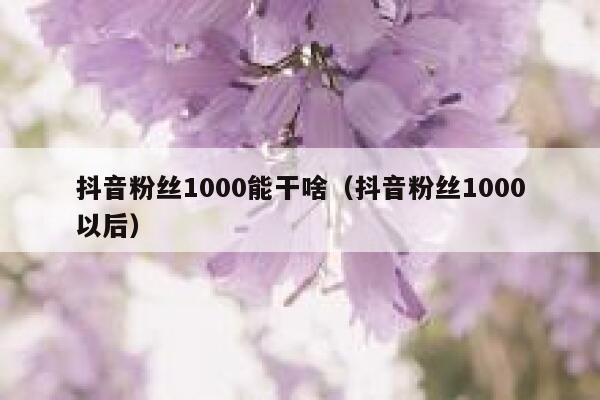 抖音粉丝1000能干啥（抖音粉丝1000以后） 第1张