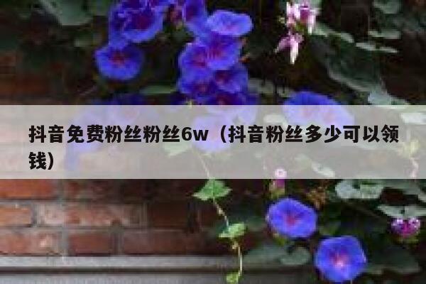 抖音免费粉丝粉丝6w（抖音粉丝多少可以领钱） 第1张