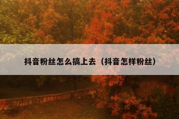 抖音粉丝怎么搞上去（抖音怎样粉丝） 第1张