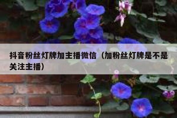 抖音粉丝灯牌加主播微信（加粉丝灯牌是不是关注主播） 第1张