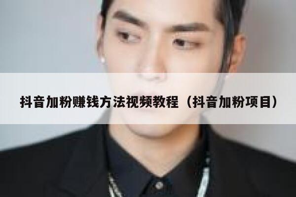 抖音加粉赚钱方法视频教程(抖音加粉项目) 第1张 抖音加粉赚钱方法视频教程(抖音加粉项目) 第1张