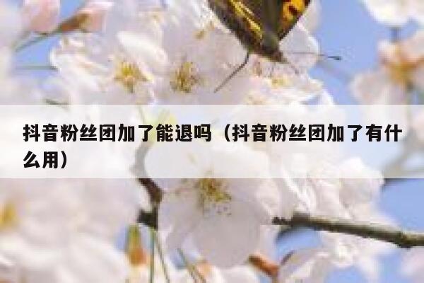 抖音粉丝团加了能退吗（抖音粉丝团加了有什么用） 第1张