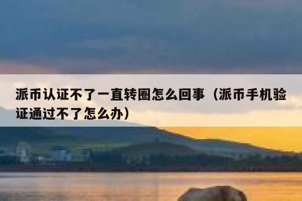 派币认证不了一直转圈怎么回事(派币手机验证通过不了怎么办) 第1张 派币认证不了一直转圈怎么回事(派币手机验证通过不了怎么办) 第1张