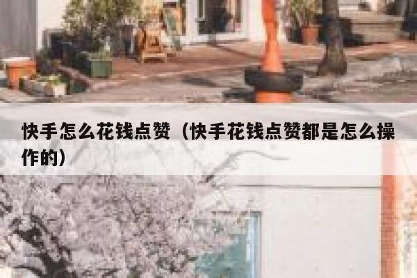 快手怎么花钱点赞(快手花钱点赞都是怎么操作的) 第1张 快手怎么花钱点赞(快手花钱点赞都是怎么操作的) 第1张