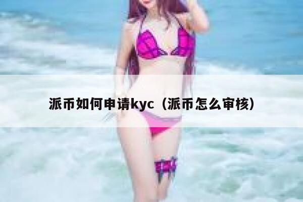 派币如何申请kyc(派币怎么审核) 第1张 派币如何申请kyc(派币怎么审核) 第1张