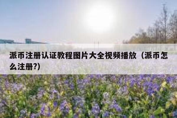 派币注册认证教程图片大全视频播放(派币怎么注册?) 第1张 派币注册认证教程图片大全视频播放(派币怎么注册?) 第1张