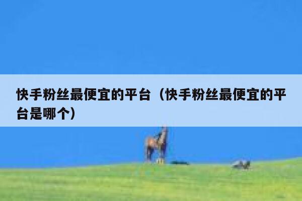 快手粉丝最便宜的平台(快手粉丝最便宜的平台是哪个) 第1张 快手粉丝最便宜的平台(快手粉丝最便宜的平台是哪个) 第1张
