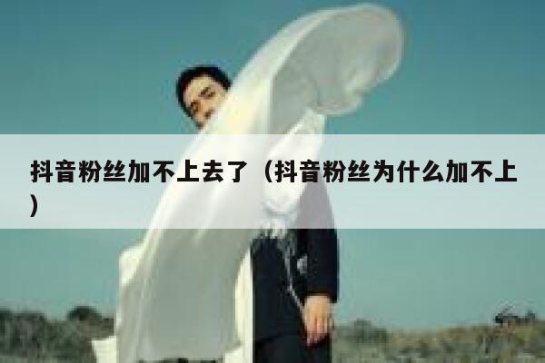 抖音粉丝加不上去了(抖音粉丝为什么加不上) 第1张 抖音粉丝加不上去了(抖音粉丝为什么加不上) 第1张