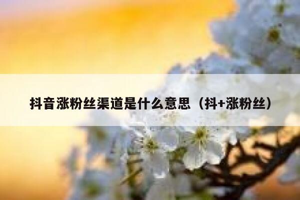抖音涨粉丝渠道是什么意思(抖+涨粉丝) 第1张 抖音涨粉丝渠道是什么意思(抖+涨粉丝) 第1张