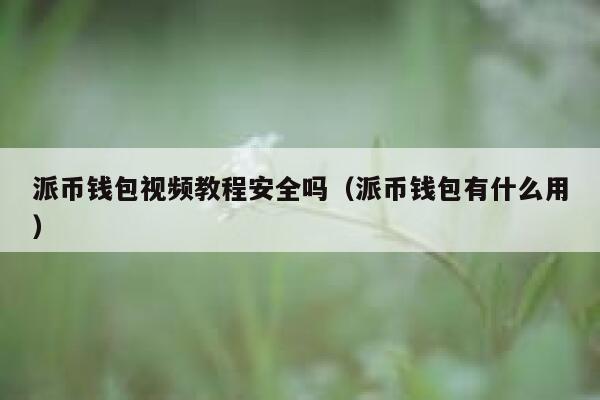 派币钱包视频教程安全吗(派币钱包有什么用) 第1张 派币钱包视频教程安全吗(派币钱包有什么用) 第1张