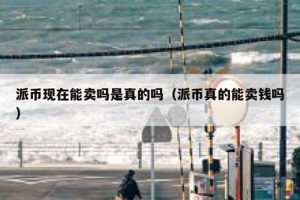 派币现在能卖吗是真的吗(派币真的能卖钱吗) 第1张 派币现在能卖吗是真的吗(派币真的能卖钱吗) 第1张