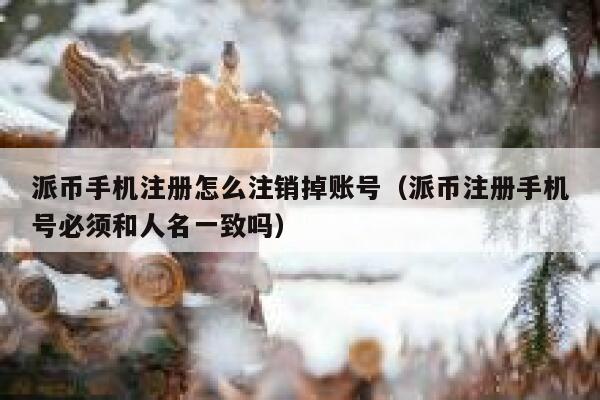 派币手机注册怎么注销掉账号(派币注册手机号必须和人名一致吗) 第1张 派币手机注册怎么注销掉账号(派币注册手机号必须和人名一致吗) 第1张