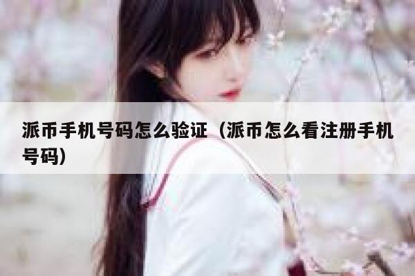 派币手机号码怎么验证(派币怎么看注册手机号码) 第1张 派币手机号码怎么验证(派币怎么看注册手机号码) 第1张