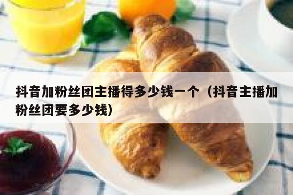 抖音加粉丝团主播得多少钱一个(抖音主播加粉丝团要多少钱) 第1张 抖音加粉丝团主播得多少钱一个(抖音主播加粉丝团要多少钱) 第1张