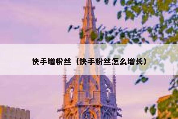 快手增粉丝(快手粉丝怎么增长) 第1张 快手增粉丝(快手粉丝怎么增长) 第1张