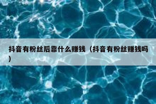 抖音有粉丝后靠什么赚钱(抖音有粉丝赚钱吗) 第1张 抖音有粉丝后靠什么赚钱(抖音有粉丝赚钱吗) 第1张