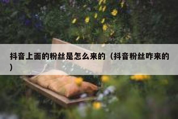 抖音上面的粉丝是怎么来的(抖音粉丝咋来的) 第1张 抖音上面的粉丝是怎么来的(抖音粉丝咋来的) 第1张