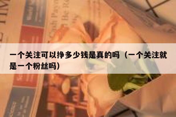 一个关注可以挣多少钱是真的吗(一个关注就是一个粉丝吗) 第1张 一个关注可以挣多少钱是真的吗(一个关注就是一个粉丝吗) 第1张