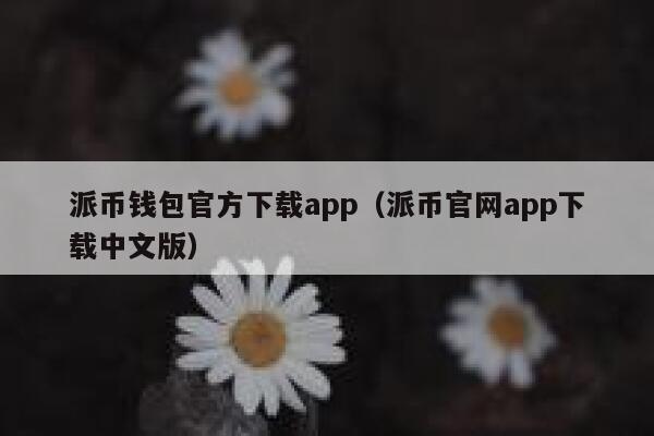派币钱包官方下载app(派币官网app下载中文版) 第1张 派币钱包官方下载app(派币官网app下载中文版) 第1张