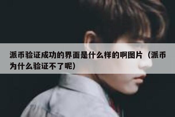 派币验证成功的界面是什么样的啊图片（派币为什么验证不了呢） 第1张