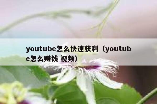 youtube怎么快速获利（youtube怎么赚钱 视频） 第1张
