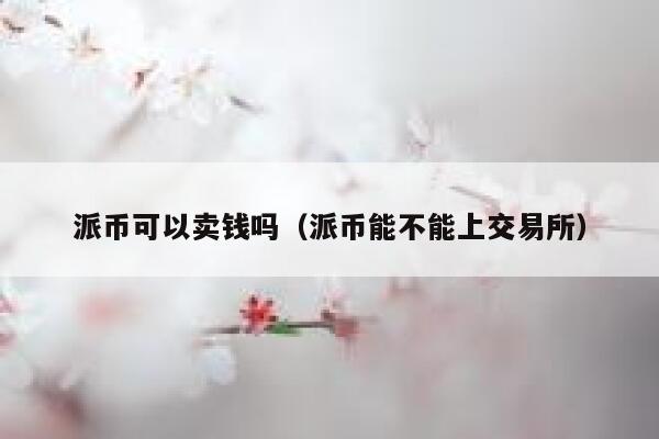 派币可以卖钱吗（派币能不能上交易所） 第1张