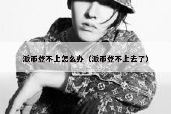 派币登不上怎么办（派币登不上去了） 第1张
