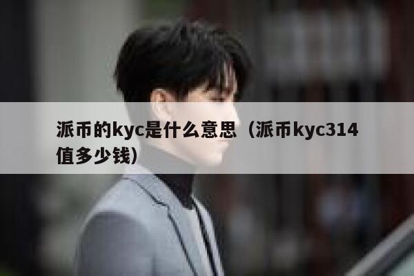 派币的kyc是什么意思（派币kyc314值多少钱） 第1张