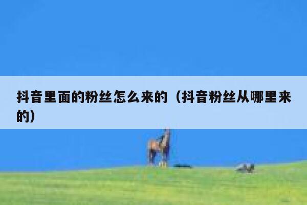 抖音里面的粉丝怎么来的（抖音粉丝从哪里来的） 第1张