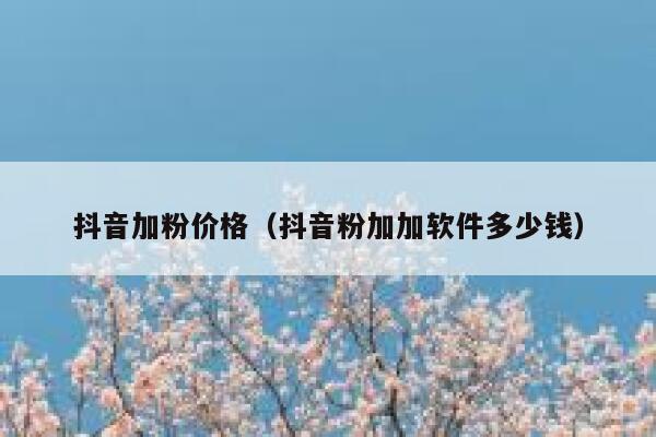 抖音加粉价格（抖音粉加加软件多少钱） 第1张