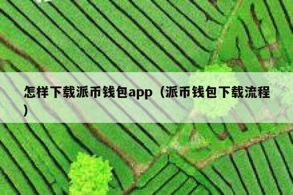 怎样下载派币钱包app（派币钱包下载流程） 第1张