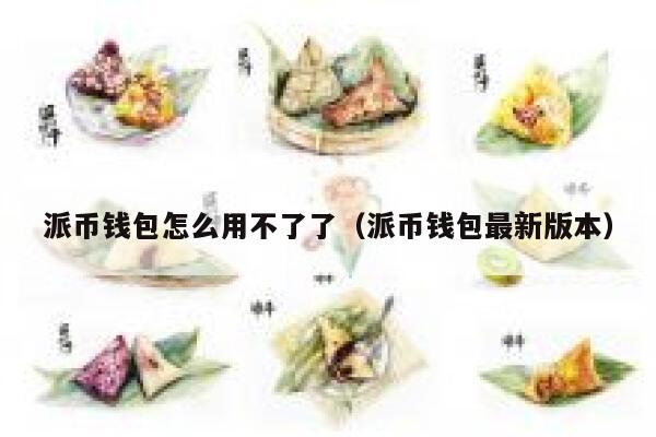 派币钱包怎么用不了了（派币钱包最新版本） 第1张